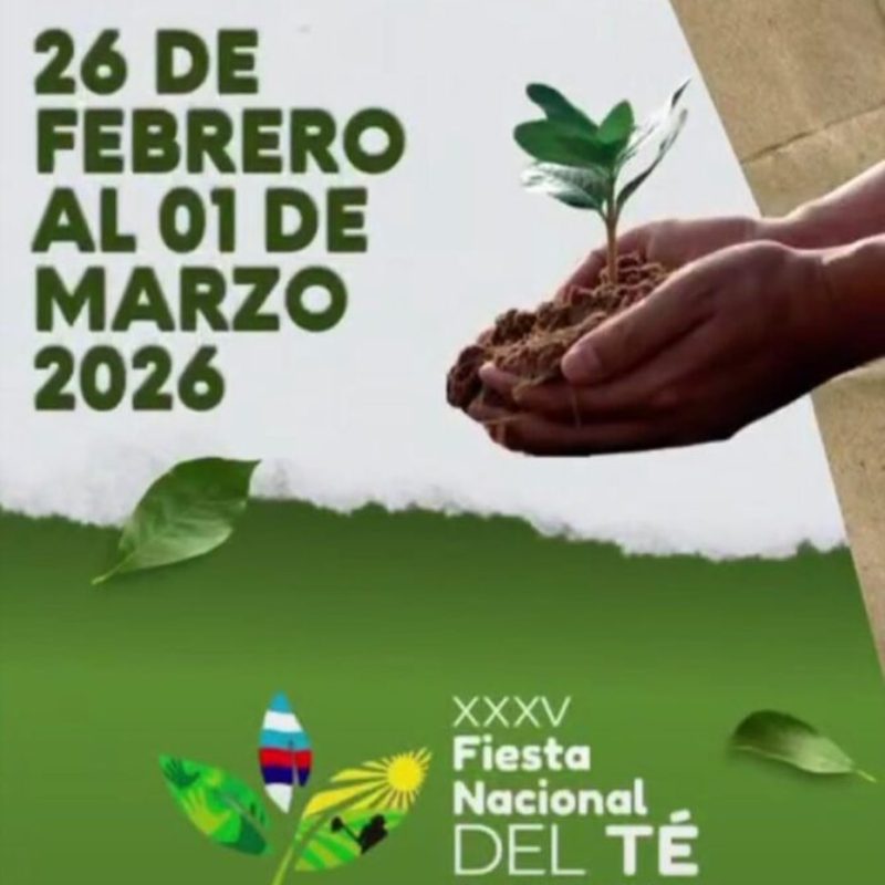 Fiesta Nacional del Tedel Turistafiestas