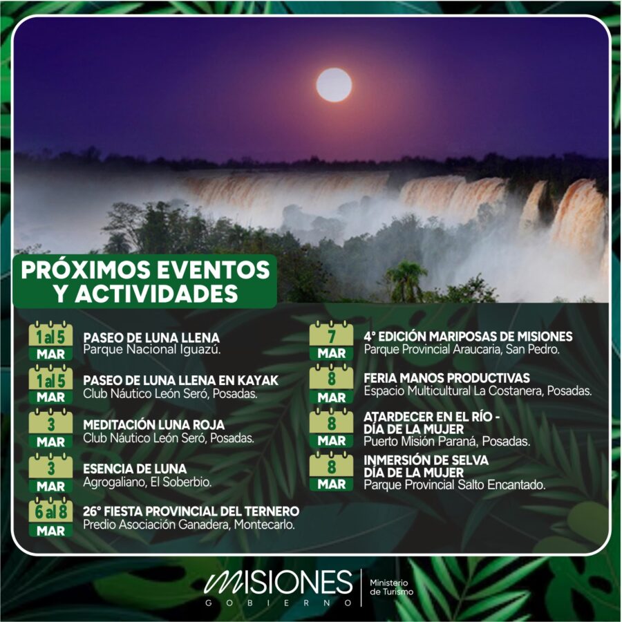 WhatsApp Image 2026-03-03 at 16.51.26