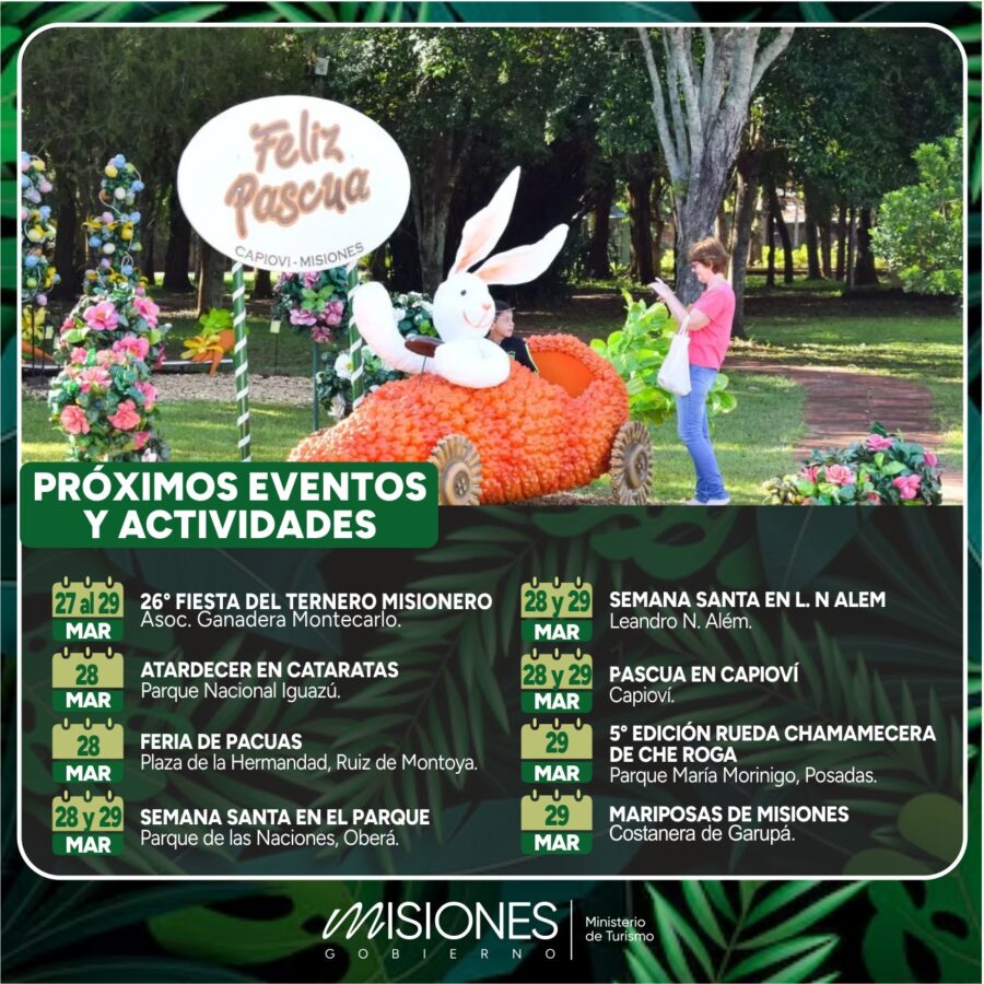 WhatsApp Image 2026-03-25 at 18.14.45