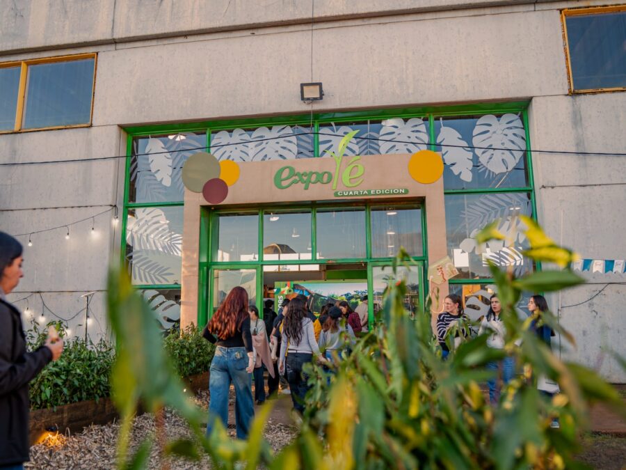Último día para visitar la Expo Té Argentina imagen-5