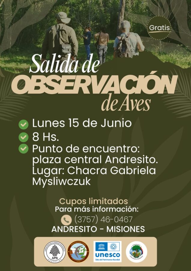 15 Junio 2026 imagen-6
