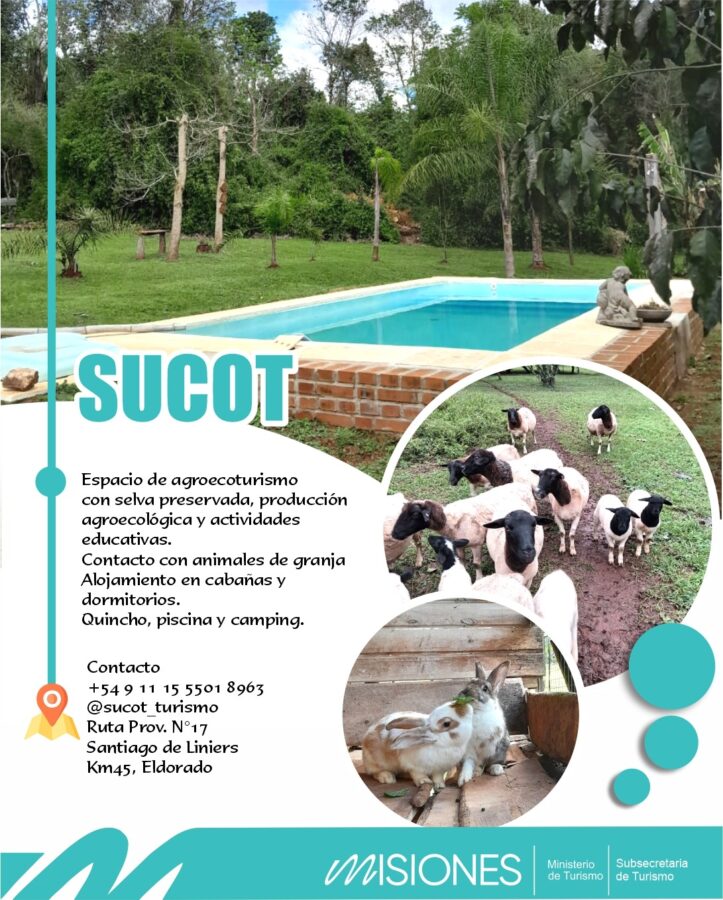 Sucot