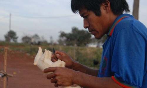 WWWFOTOS-silvestres.com.ar
