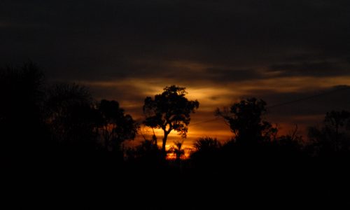 WWWFOTOS-silvestres.com.ar