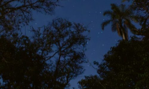 Iguazú-Argentina_Luna_500x600px_3