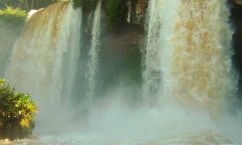 Iguazú-Argentina_Parque_500x600px
