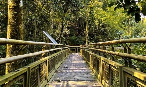 Iguazú-Argentina_Parque_500x600px_3