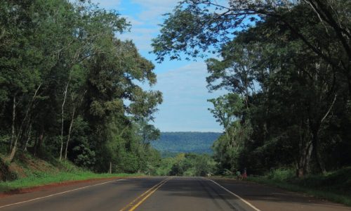 e0088_1613996459_9437